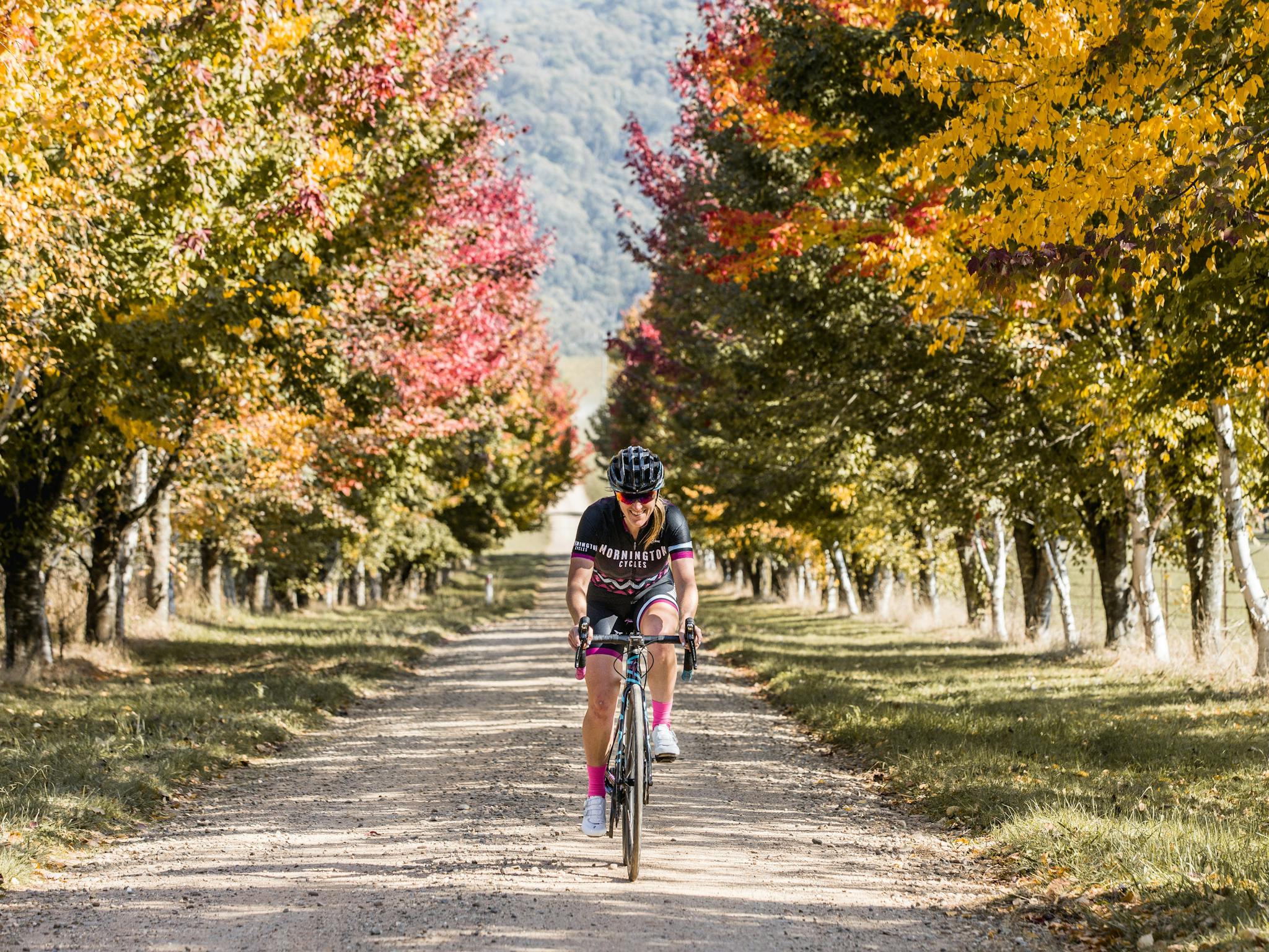 Cycling, Bright VIC