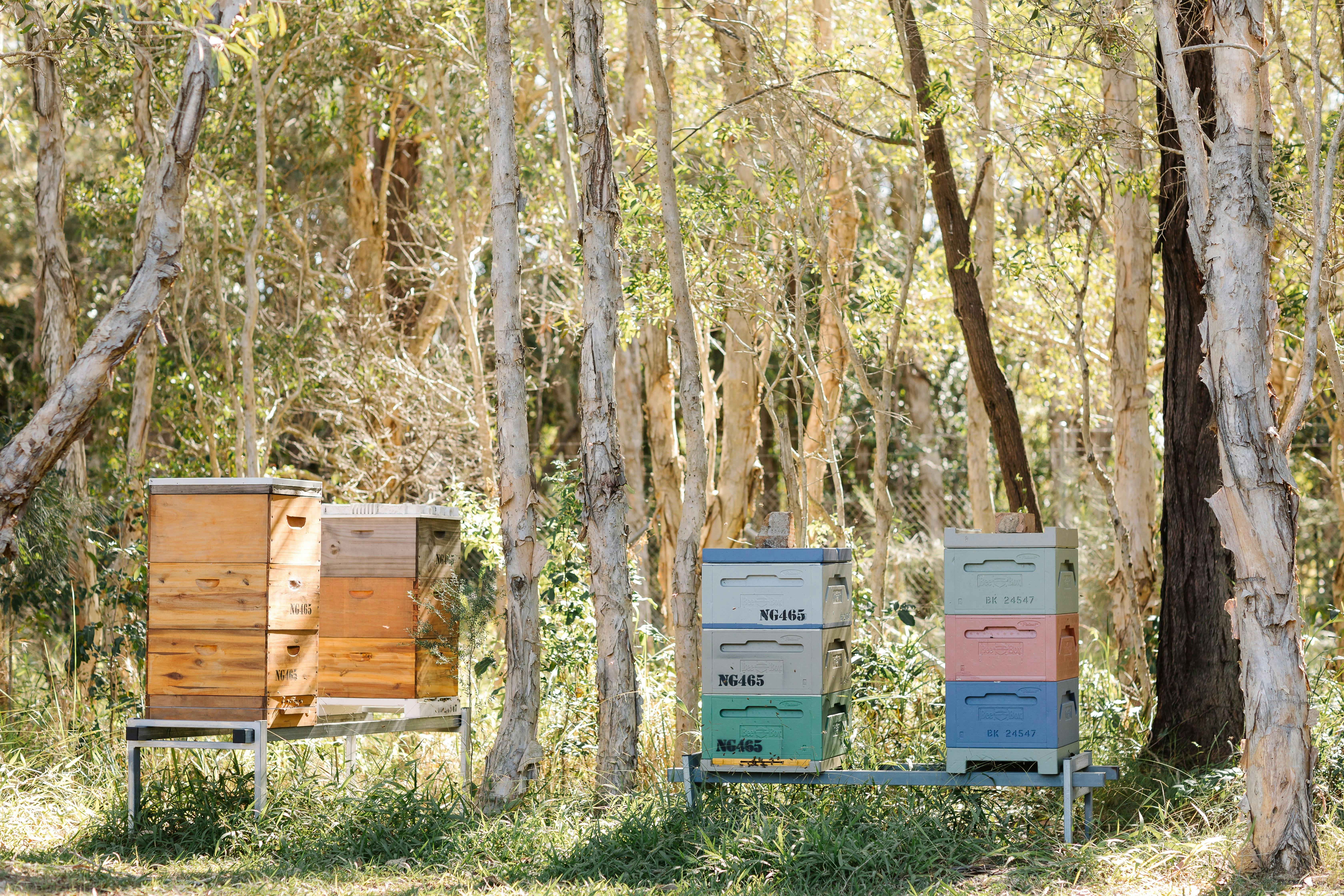 Let's Talk Honey - Free Workshop