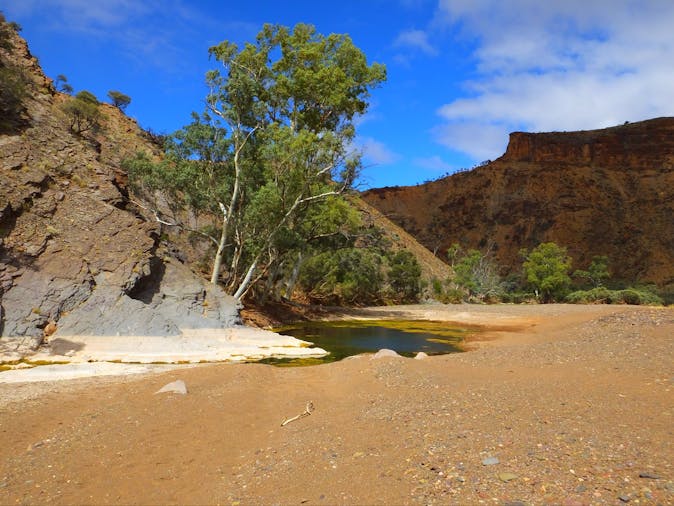 1 Full Day Central Flinders Highlights Tour of the Flinders Ranges