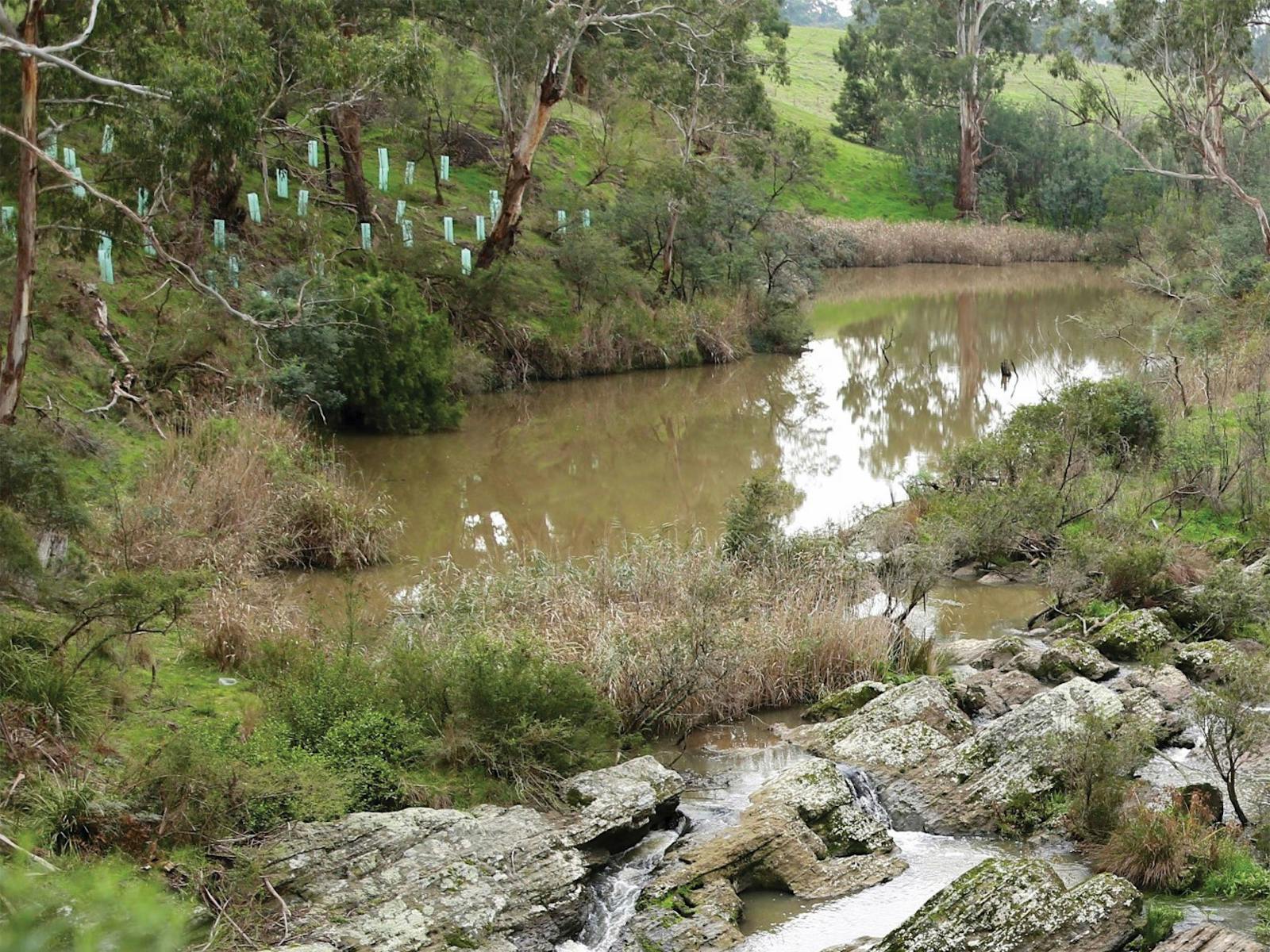 Yarrambat Park