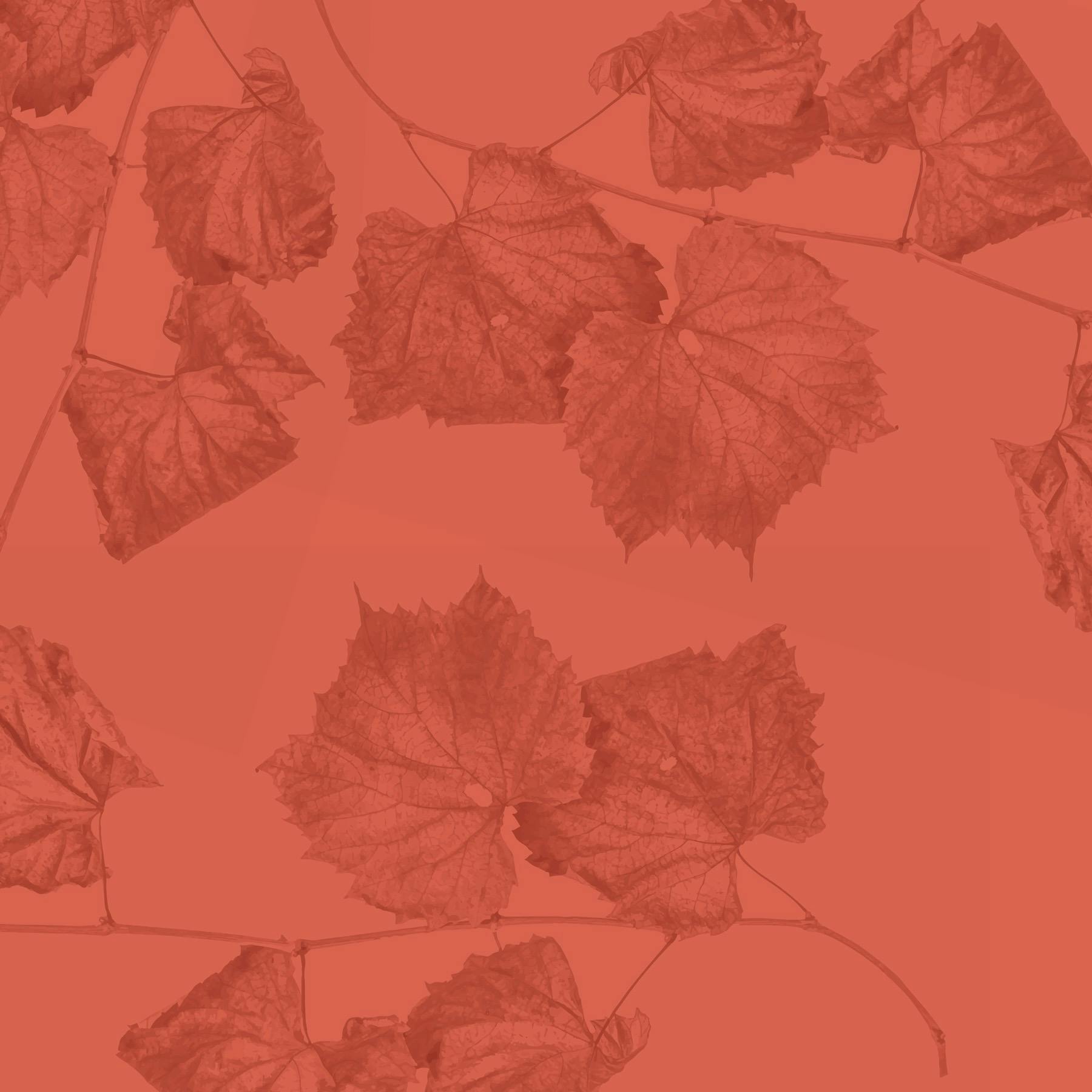 Bowral Autumn Music Festival