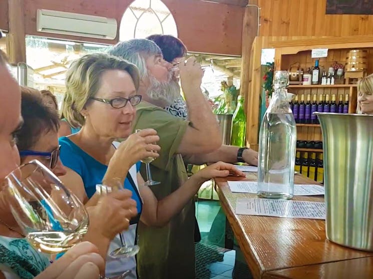 Tastes Of The Hunter Wine Tours - Tasting White Wines at Sobel's Wines