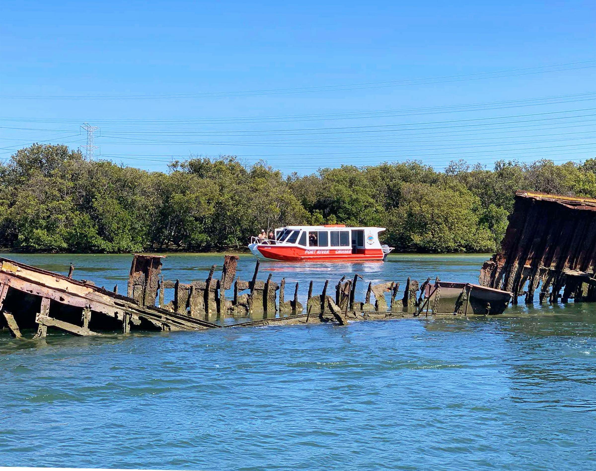 90 Minute Dolphin and Ships Graveyard Cruise