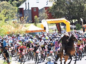 Snowies MTB Festival Cover Image