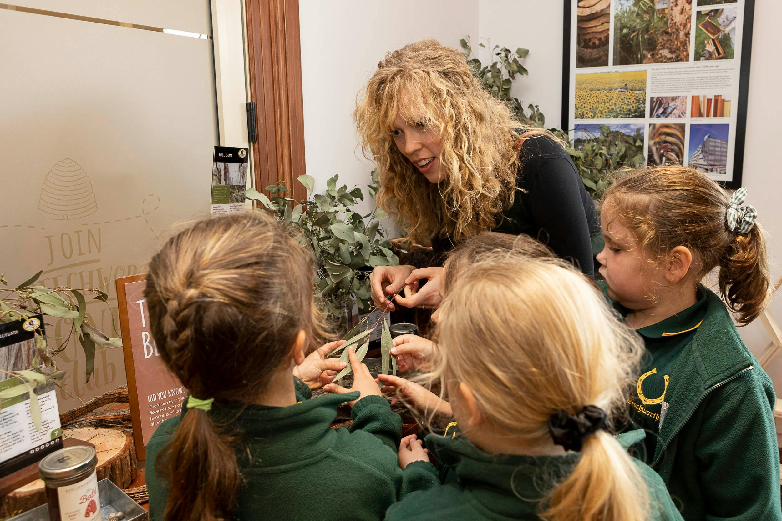 Learn about the trees honey is sourced from