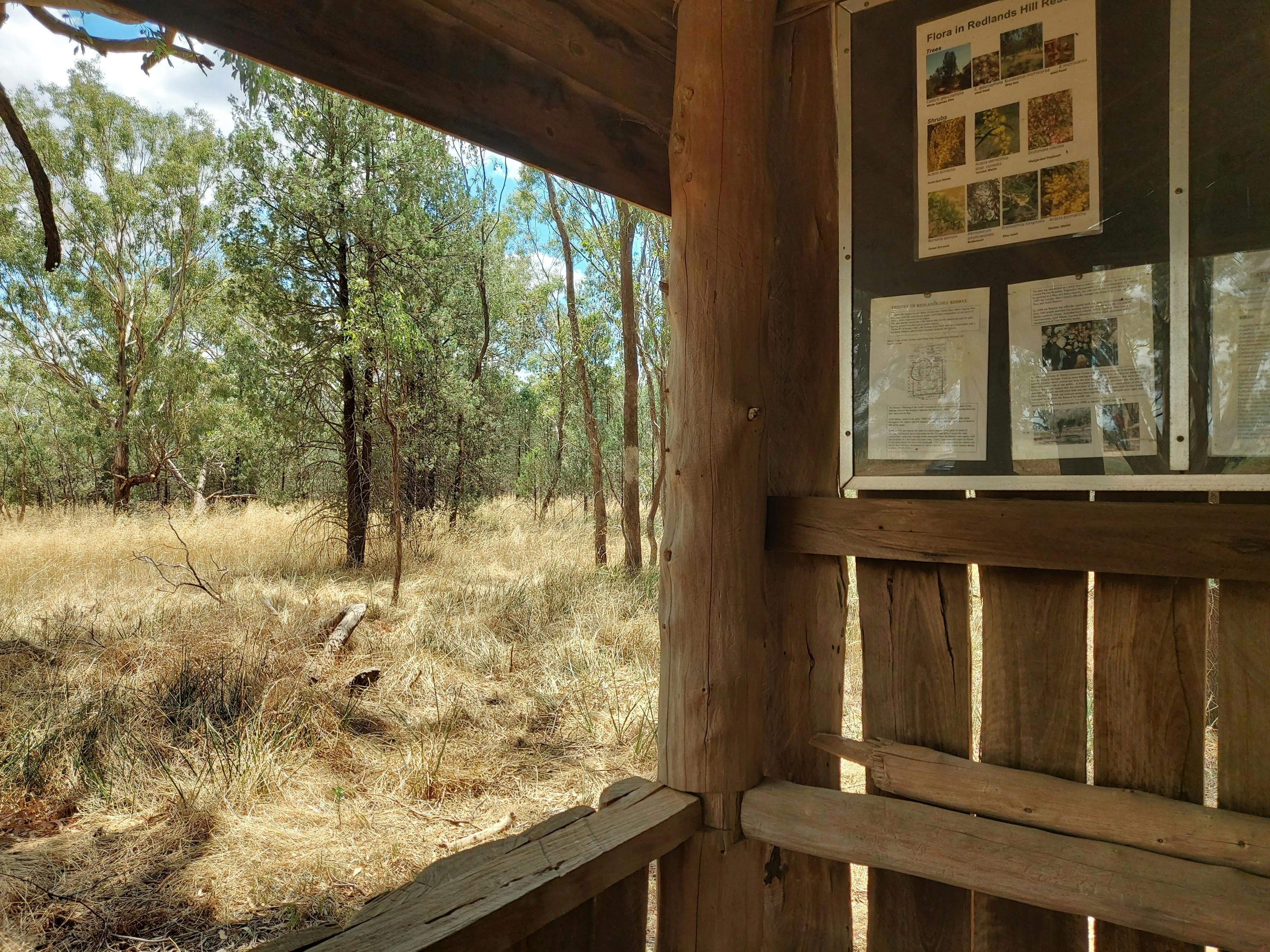 A few brochures of Australian flora are displayed on the rough wooden shed wall.