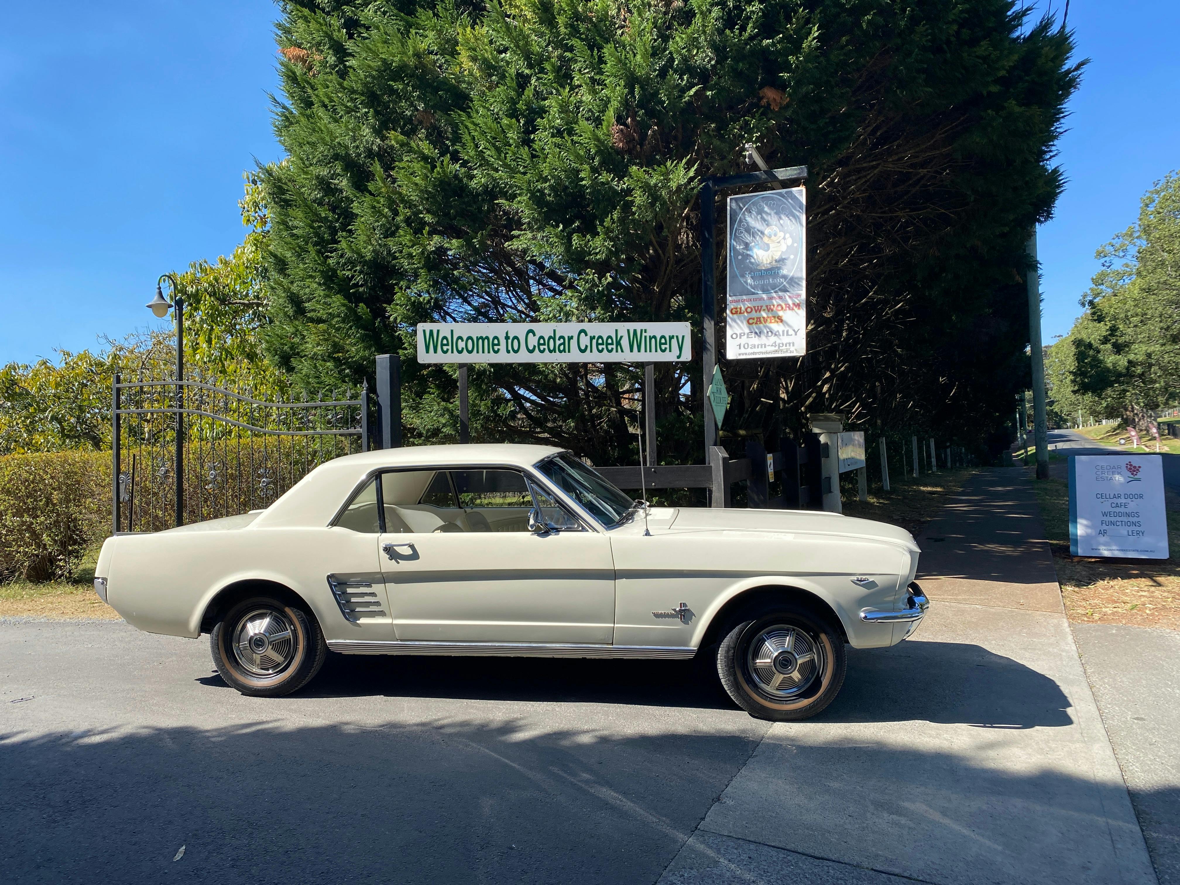 Cruise to a winery in a Chauffered vintage mustang