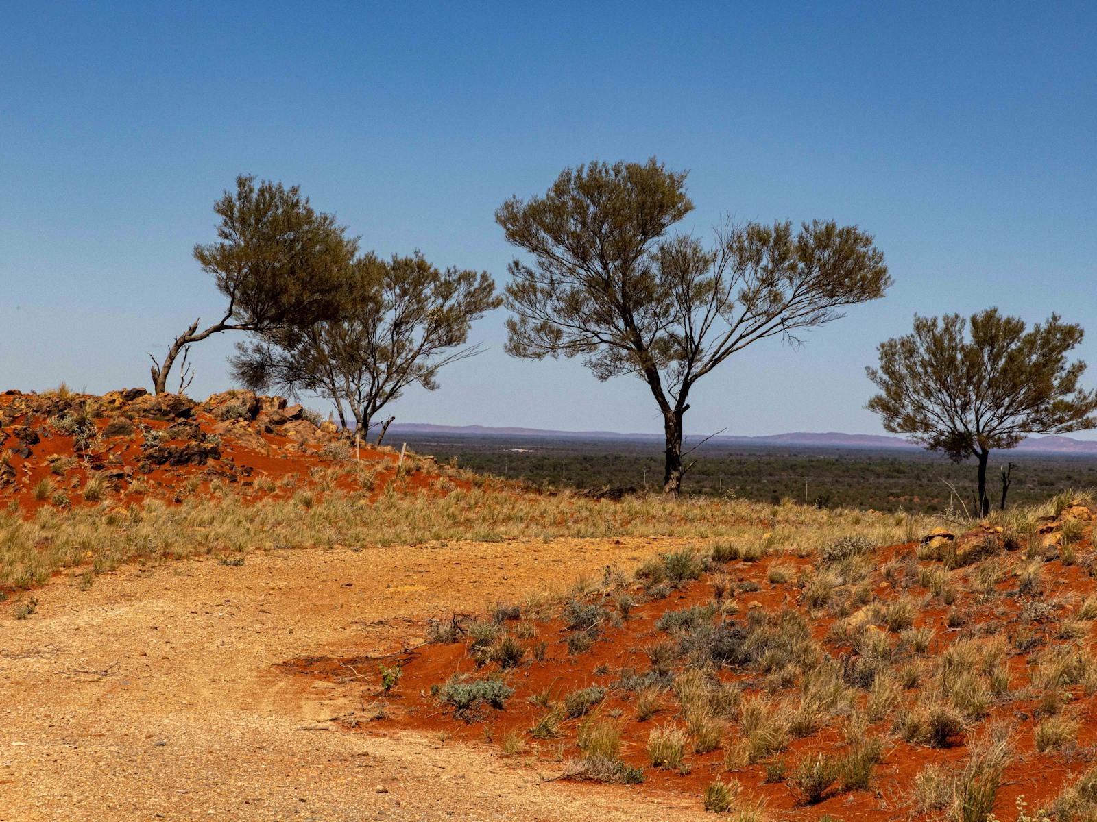 Sturts Steps Touring Route | NSW Holidays & Accommodation, Things to Do ...