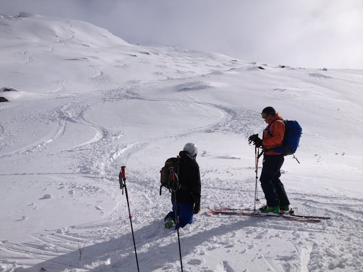 Fresh tracks in the backcountry