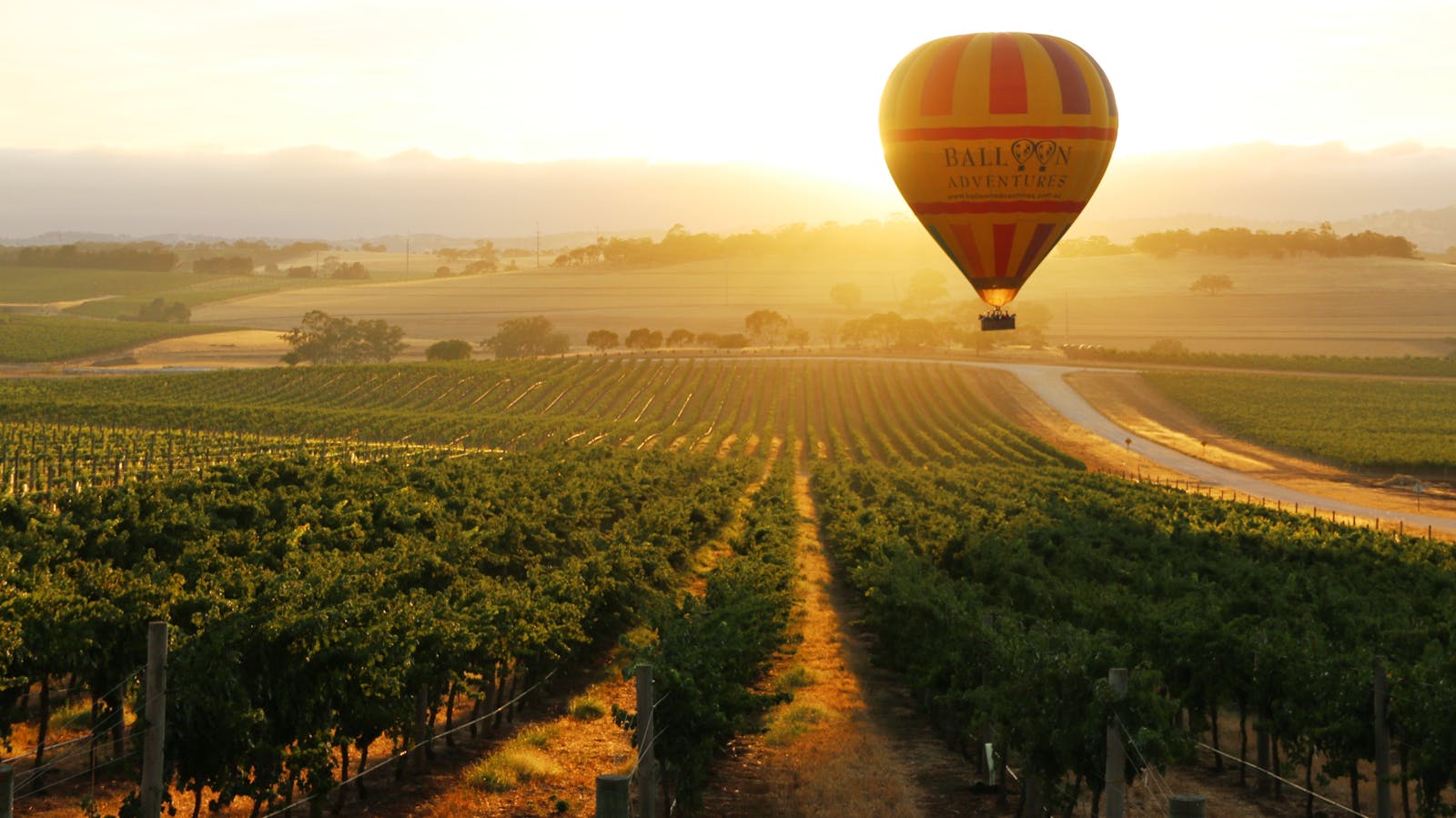 Barossa Balloon Adventures