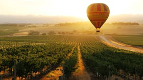 Drifting over the vines