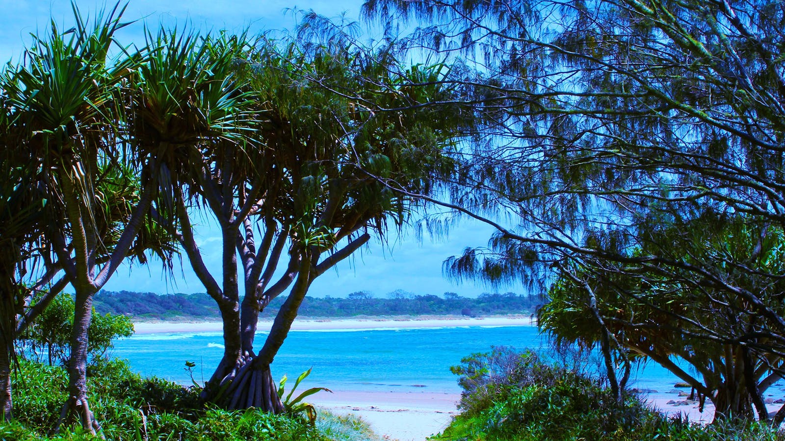 Bluff Beach