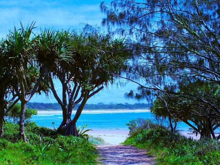 Grand entrance. Iluka’s Bluff Beach