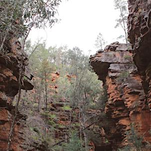 Mount Remarkable Mount Remarkable National Park - Melrose, Attraction | South Australia