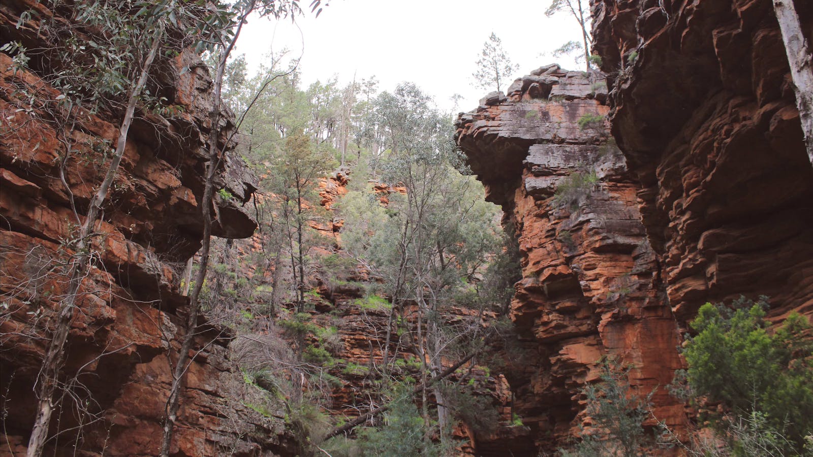 Mount Remarkable National Park