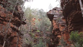 mt-remarkable