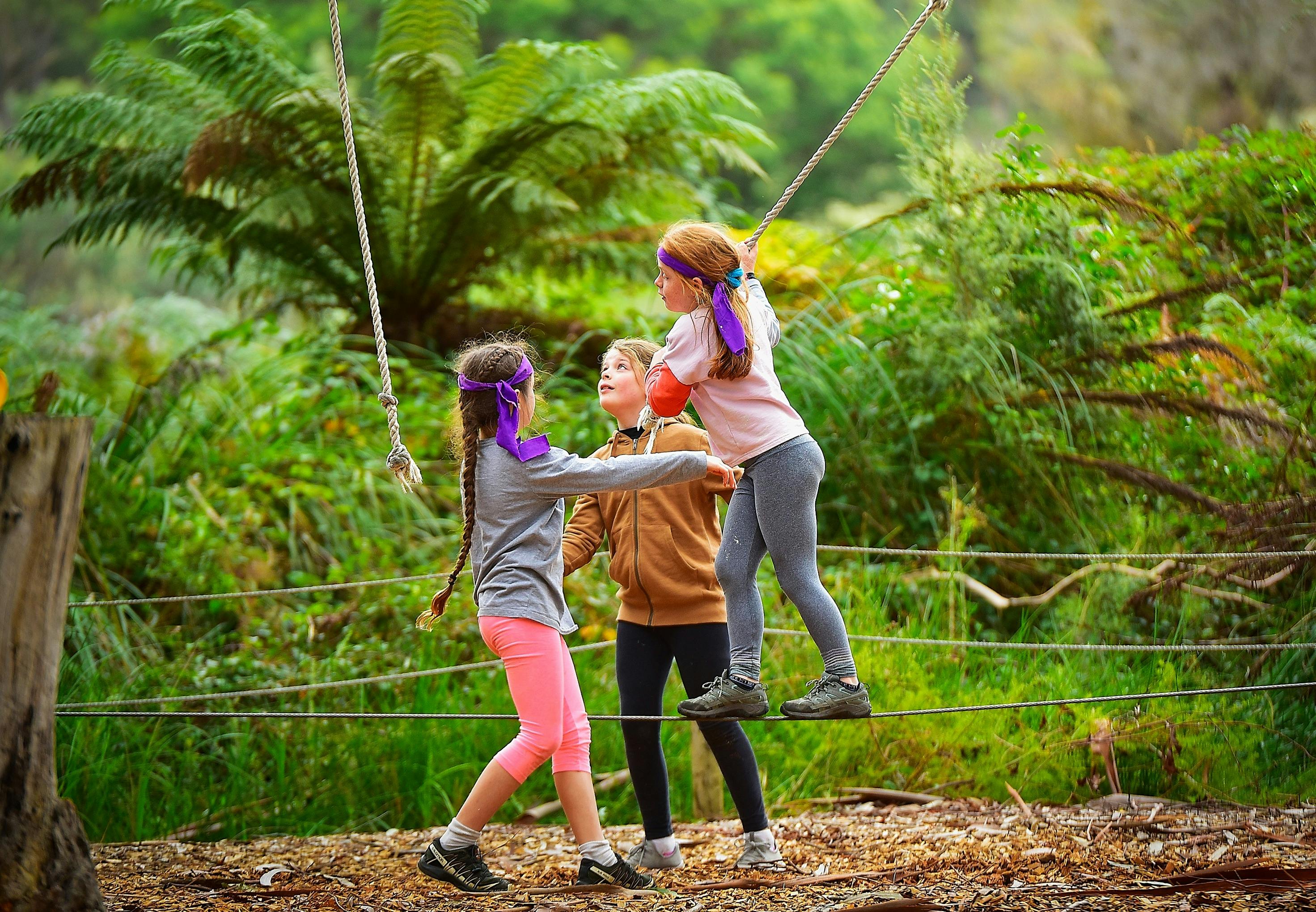 Low ropes