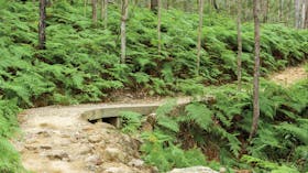 Glass House Mountains National Park