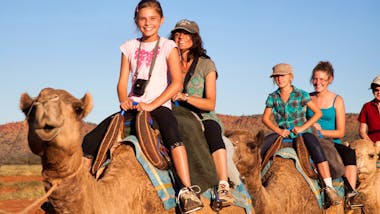 Kamelreiten Outdoor Aktivitaten In Alice Springs Nt Australien