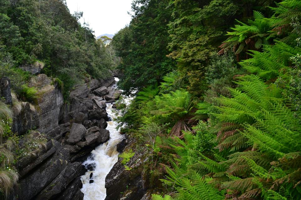 Leven Canyon Lookout Track photo