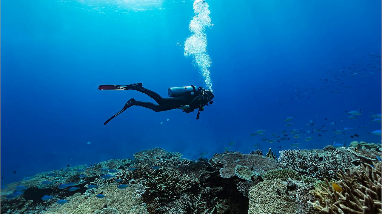 Lady Musgrave Island