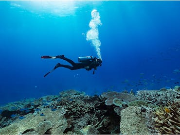 Lady Musgrave Island