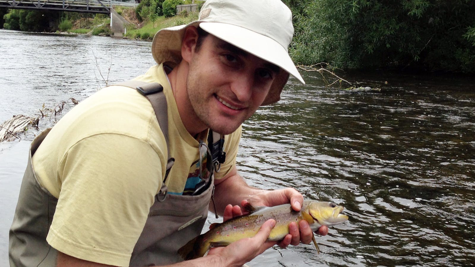 Wild brown trout, dry fly fishing, Tyenna river.