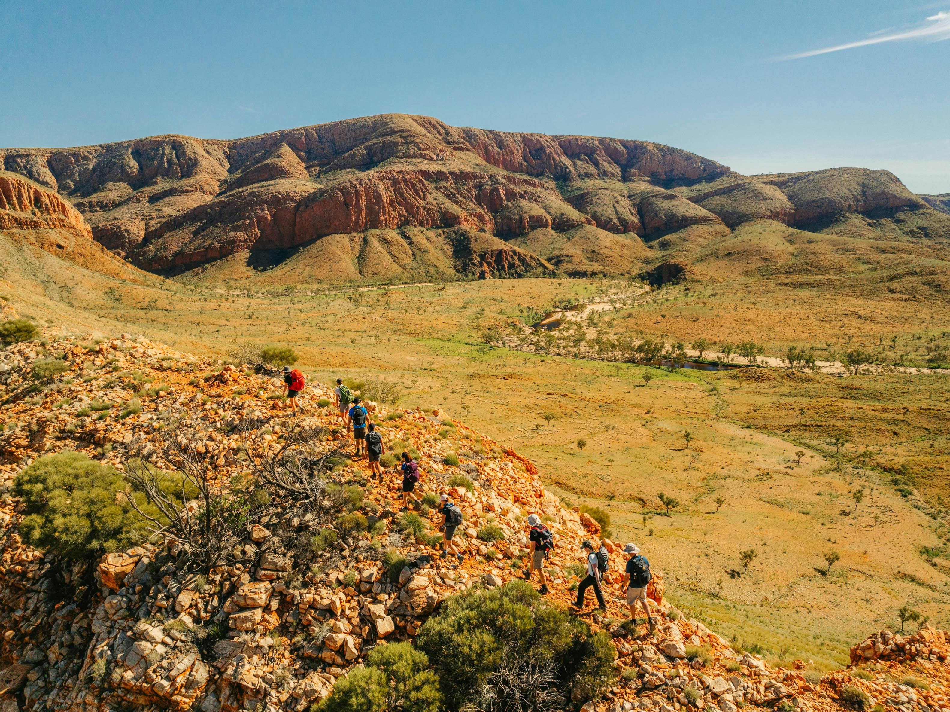 Larapinta Signature Walk