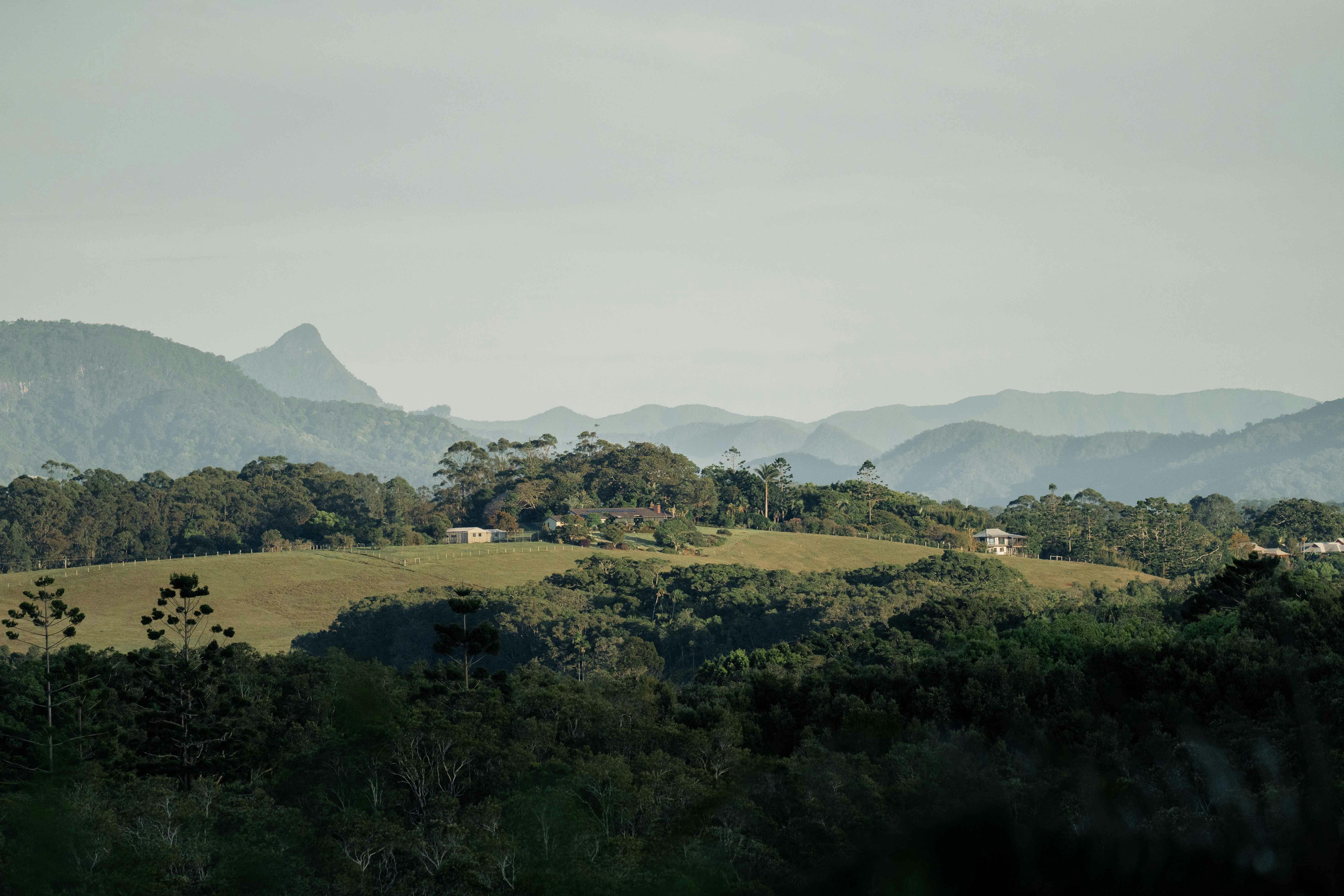 Byron bay hinterland view