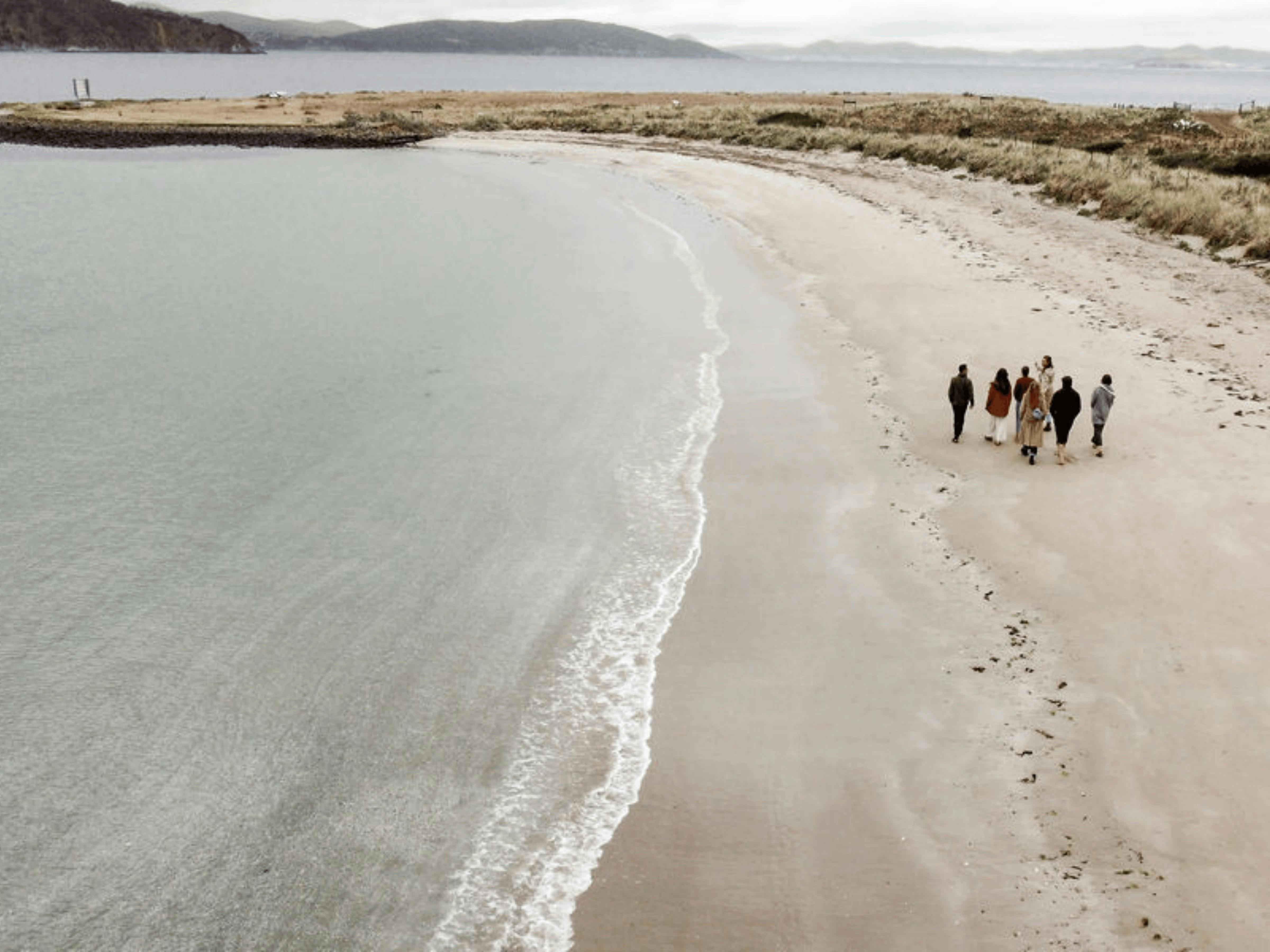 Aerial view of a small group walking along an empty curved beach.