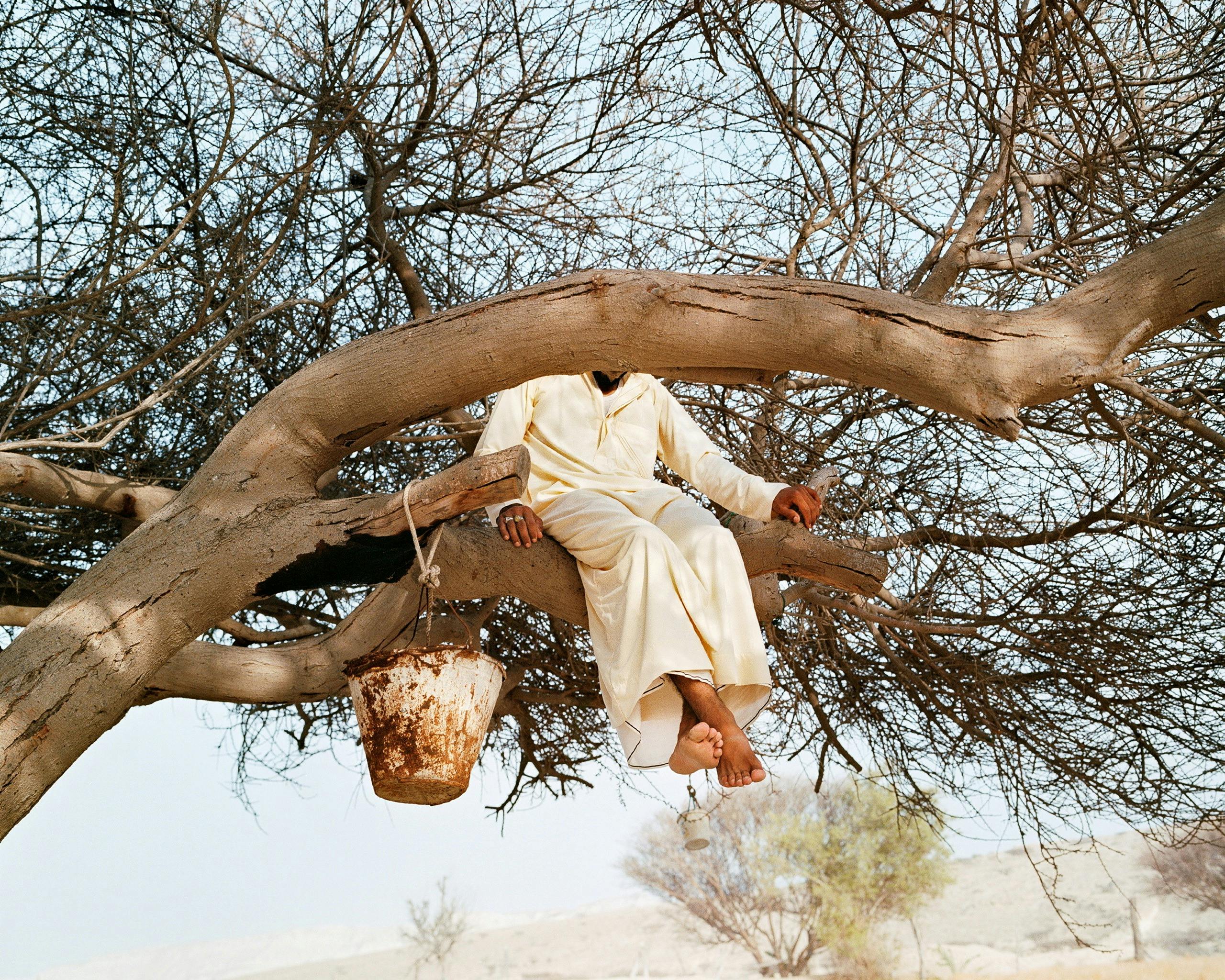Artwork "Untitled #18" by artist Hoda Afshar from the series Speak the wind