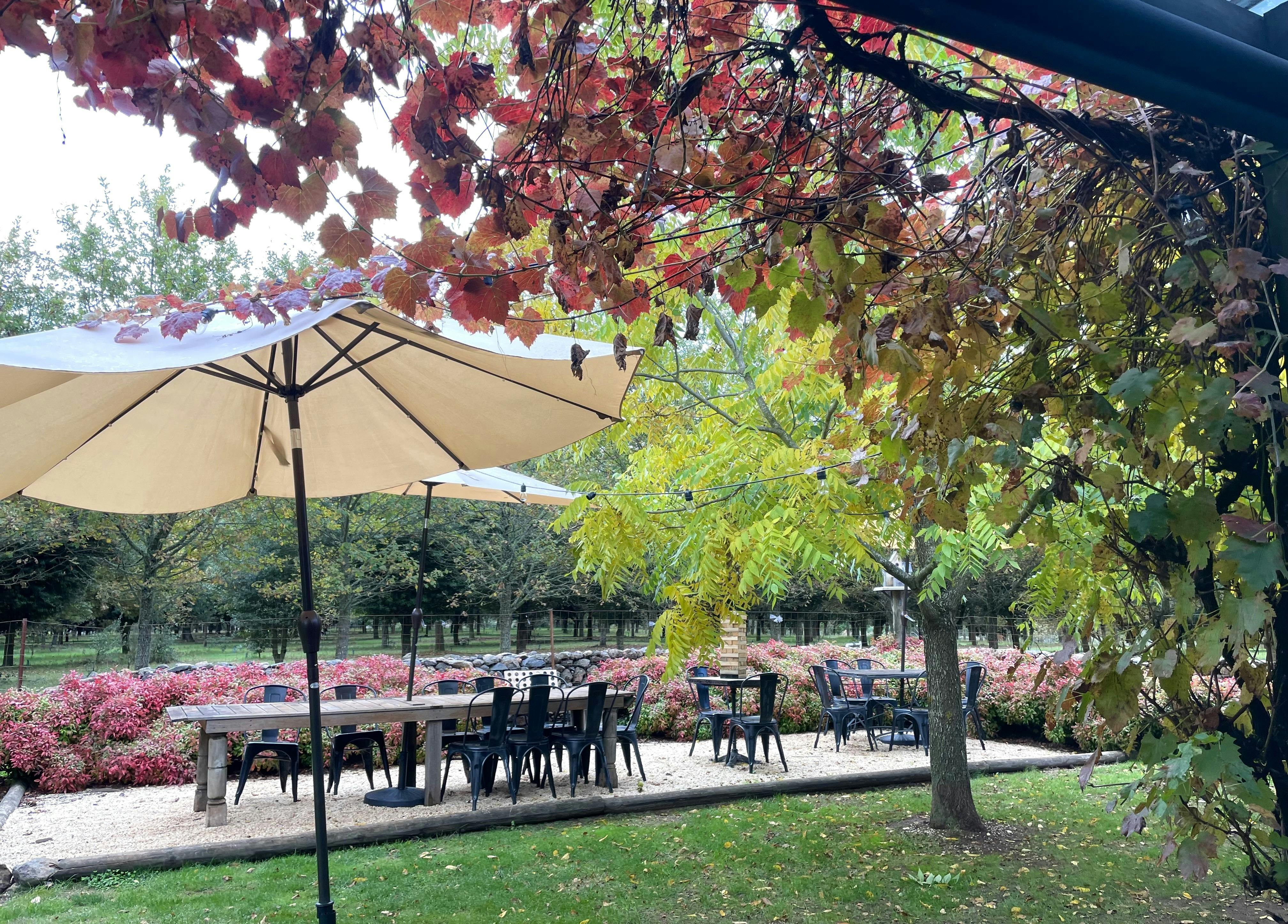 Cosy indoor or fresh open outdoor spaces_Black Cat Truffles.  Silver Mink tours.