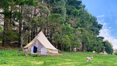 Glamping