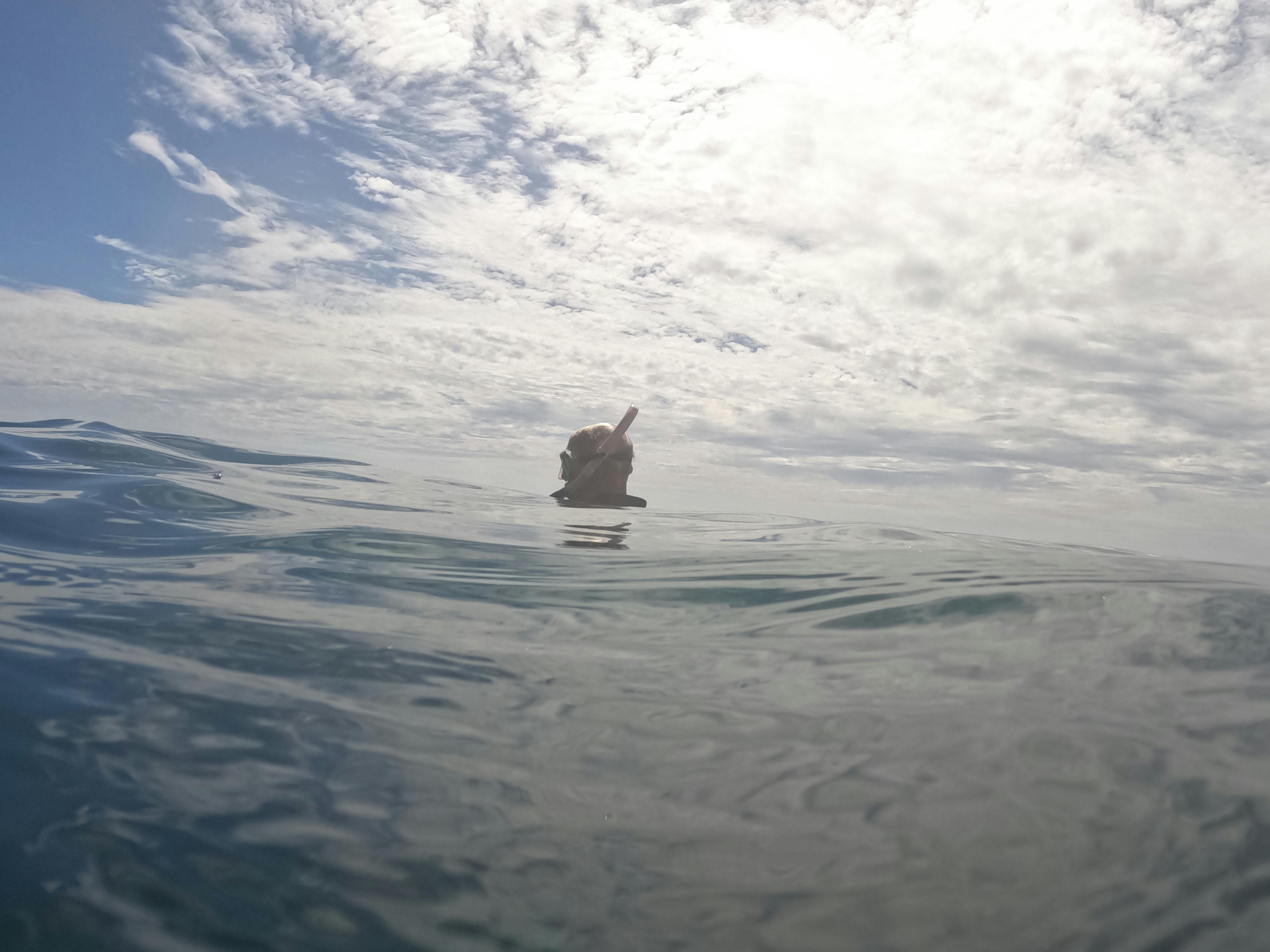 Lone snorkeler calm waters