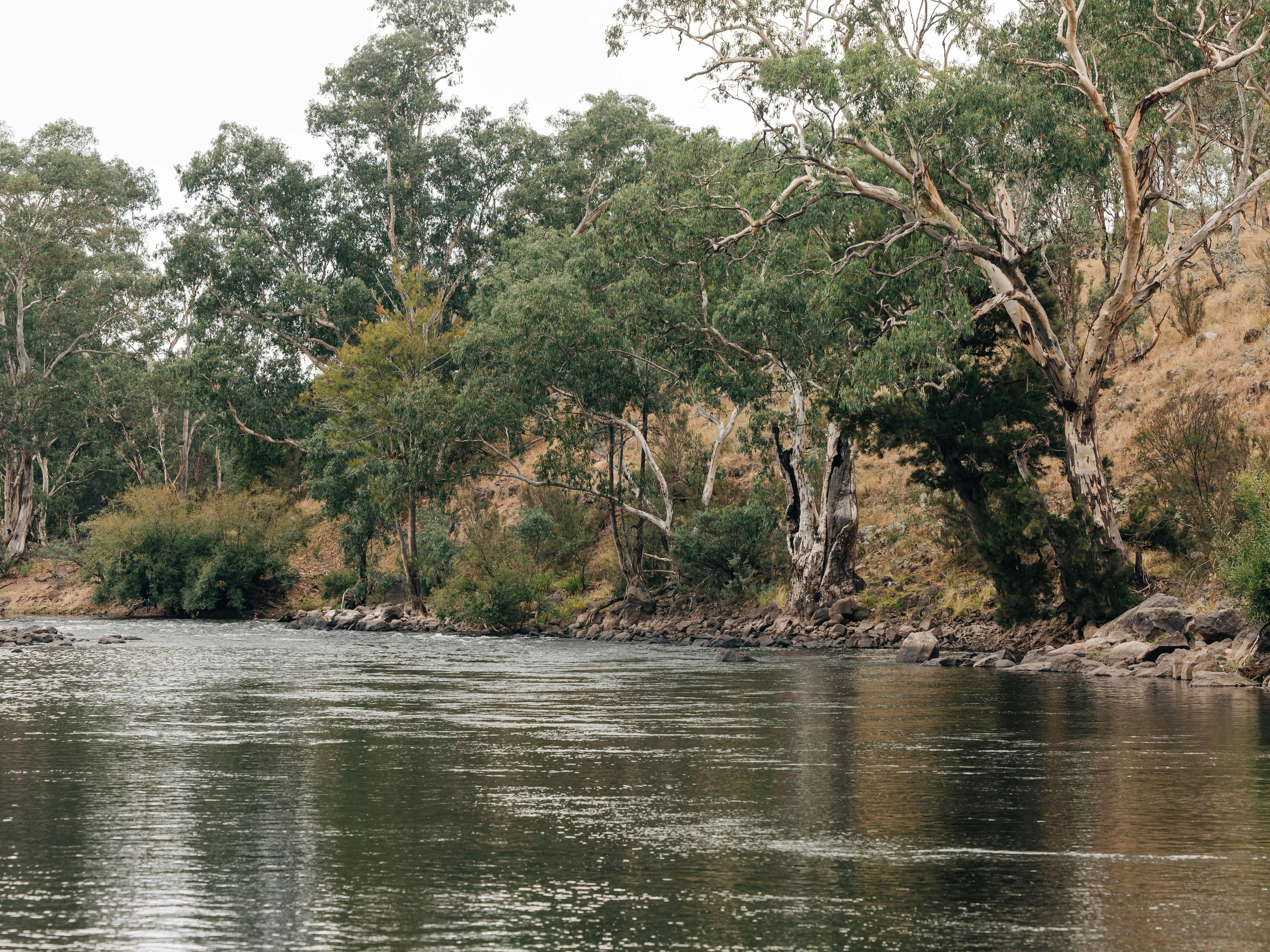 The Murrumbidgee River - Your own private stretch