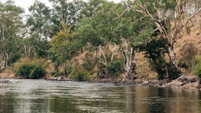 The Murrumbidgee River - Your own private stretch