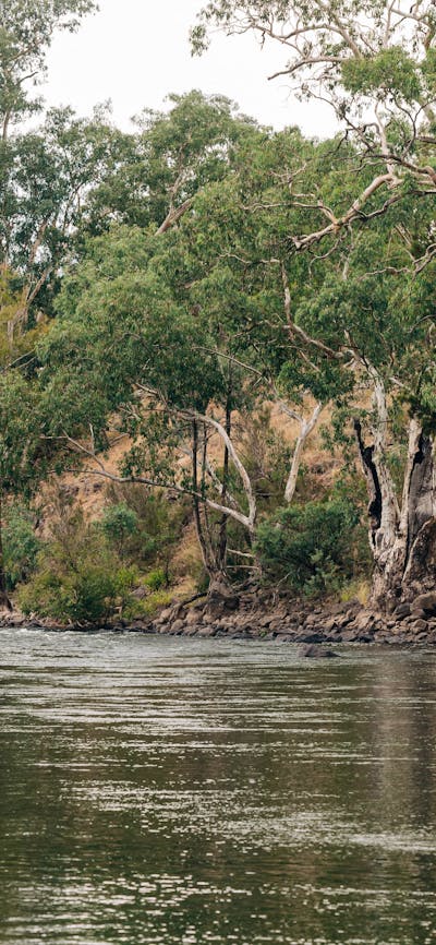 The Murrumbidgee River - Your own private stretch