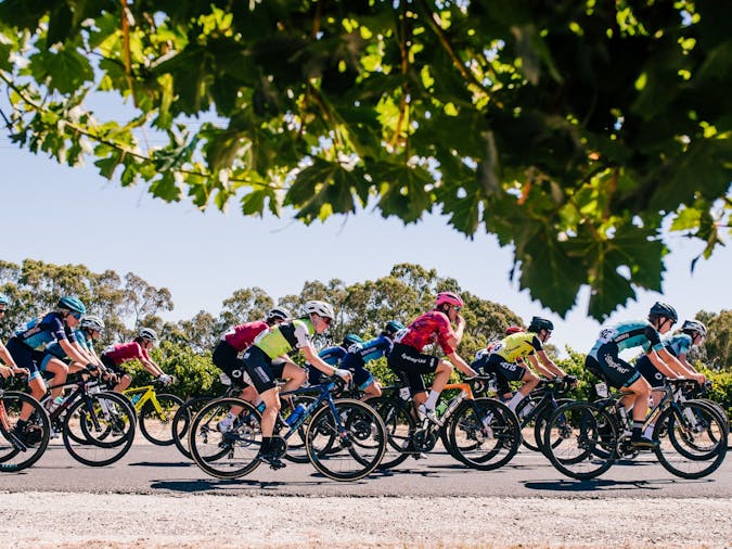 Santos Festival of Cycling: Westpac Women's Stage 2