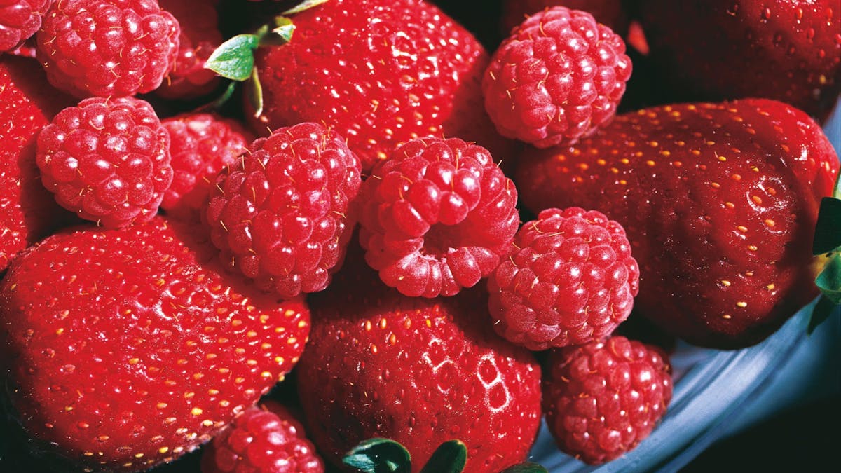 Berries, Granite Belt Berries, Granite Belt