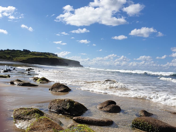 Escape Byron Half Day Guided Small Group Or Private Coastal Walk