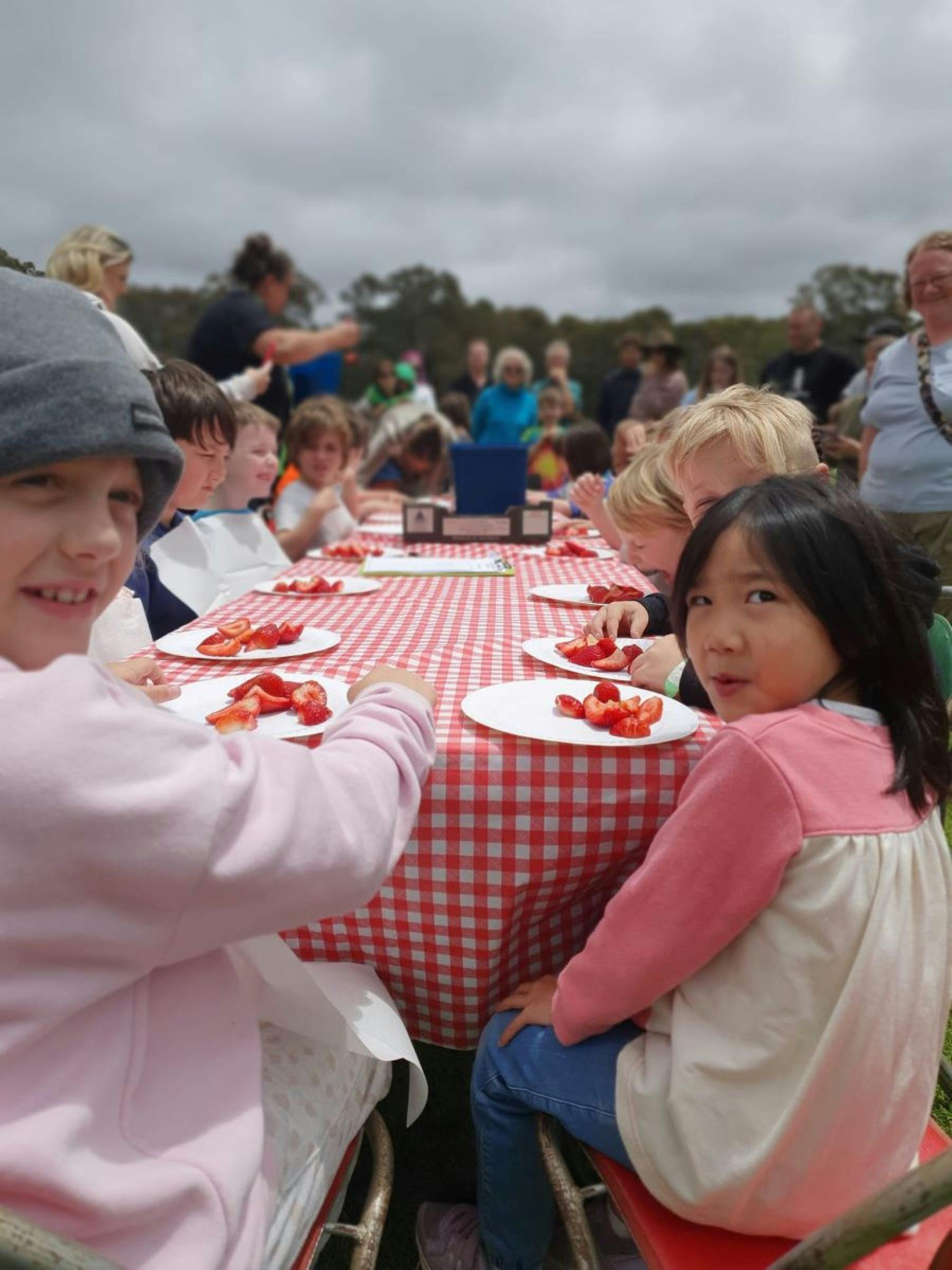 Macclesfield Strawberry Fete