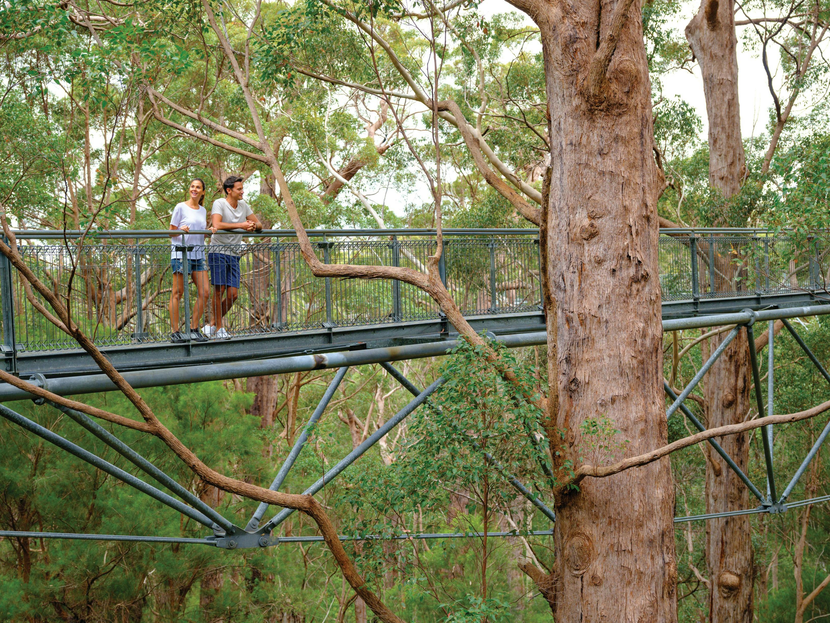 Aussie Perth Tours, Perth, Western Australia