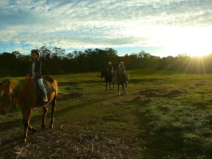 Horseriding at Sundown