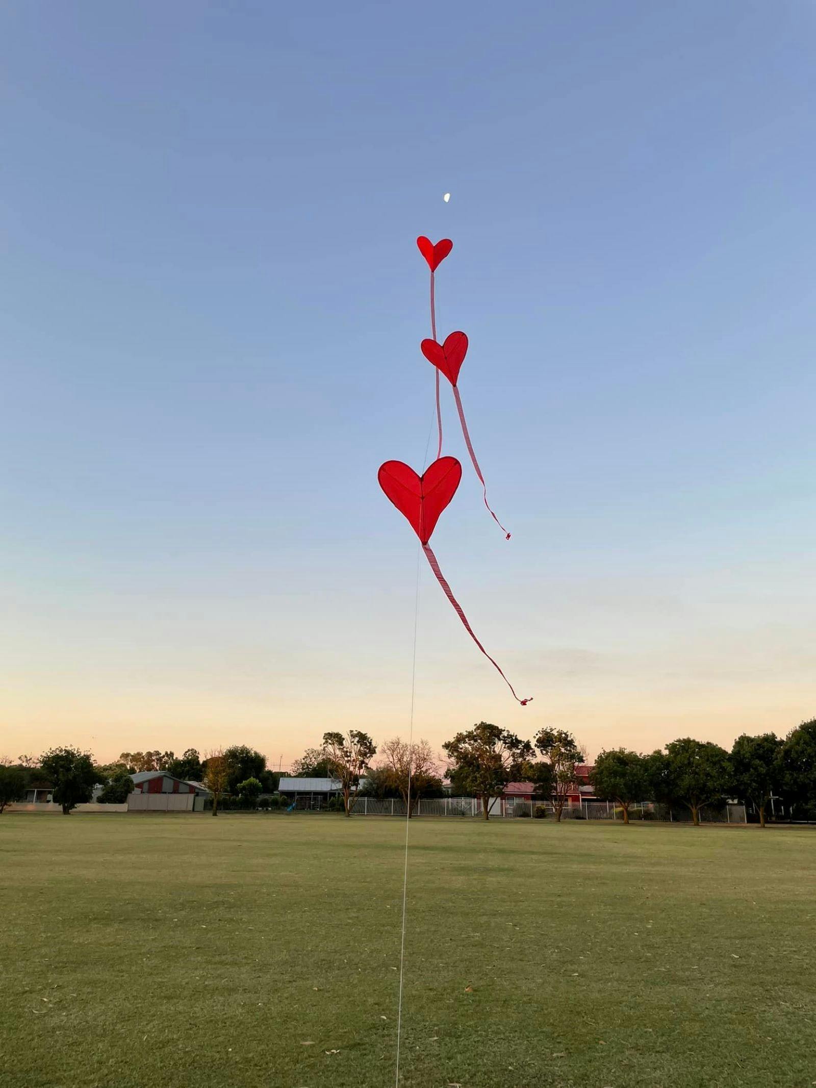 3 heart shaped kites