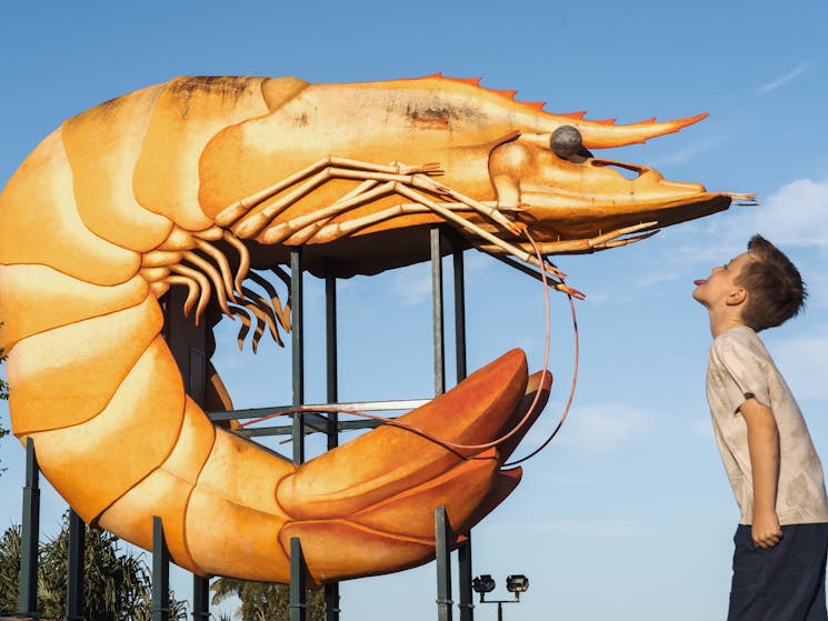 Child kissing big prawn