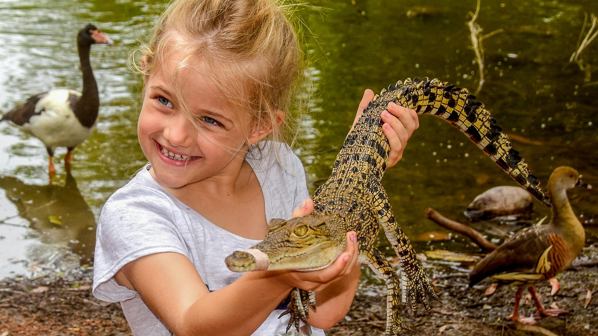 Free animal interaction, fun for all ages Free animal interaction, fun for all ages