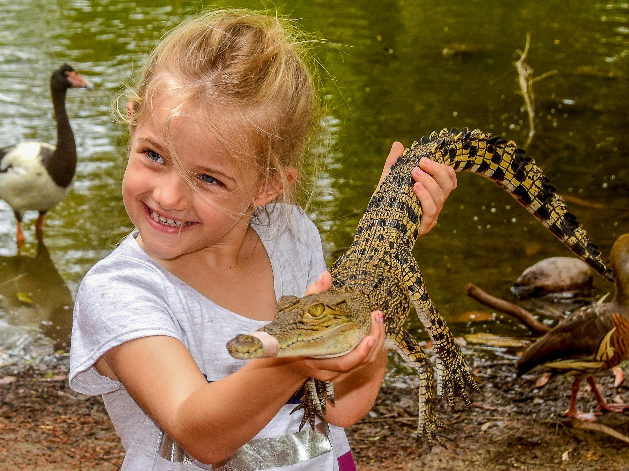 Free animal interaction, fun for all ages