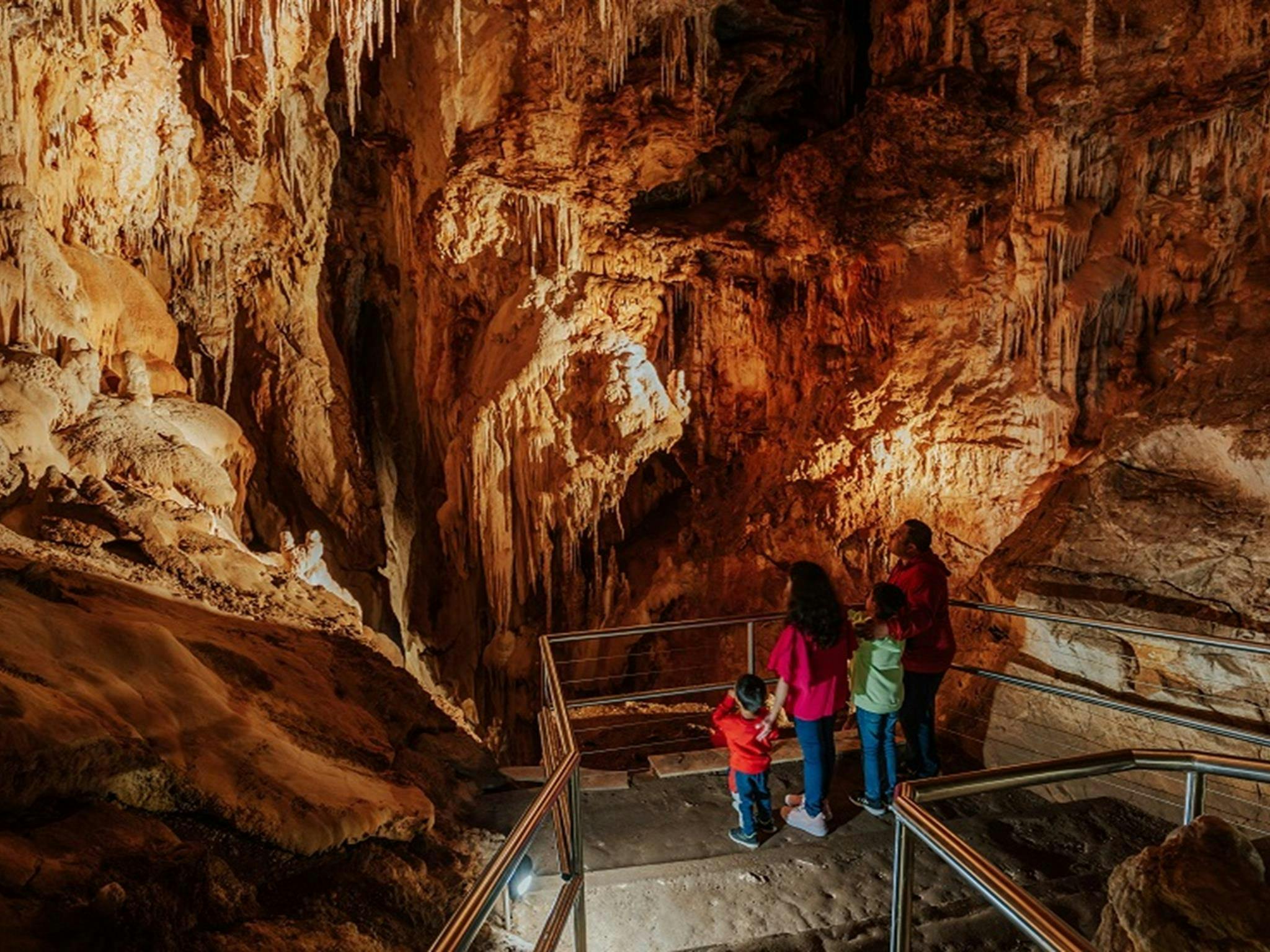 イチジクの木の洞窟