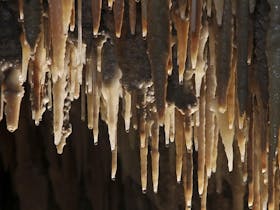 Water dripping from stalactites in Mulwaree Cave. Credit: Stephen Babka/DPE © Stephen Babka
