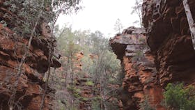 Alligator Gorge